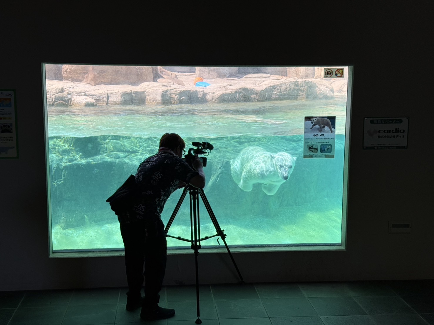 画像の説明 画像の説明