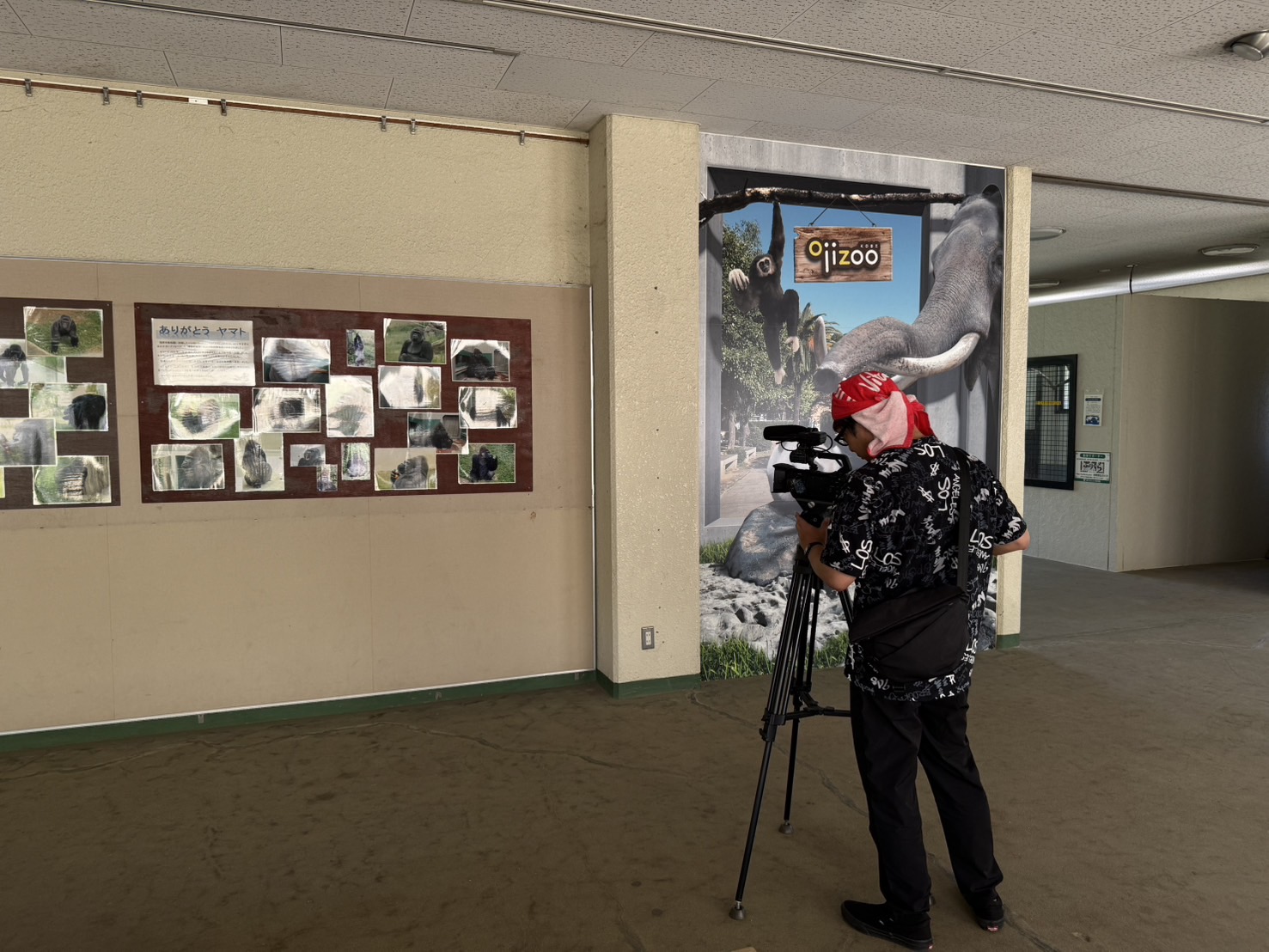 画像の説明 画像の説明